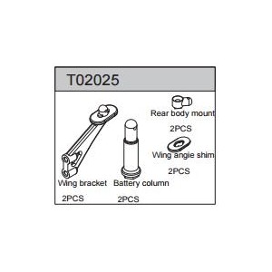 Wing Mount 2WD Buggy TEAMC